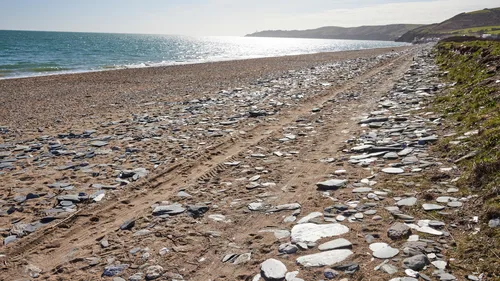 This landscape photograph shows Beesands beach located in Devon, England, United Kingdom. The image was captured in the late morning during the early spring, evident from the clear sky and bright sunlight reflecting off the sea. The beach features sandy terrain with scattered slate stones and visible tire tracks, leading towards the water. In the distance, the peninsula of Start Point is recognizable along the coastline, adding to the coastal scenery typical of Devon. The photograph highlights the natural shoreline environment one can find near Beesands and Start Point in southwest England.